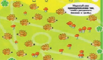 missing image file