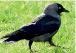 missing image file