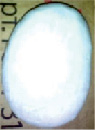 missing image file