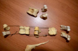 lopat9b.tif